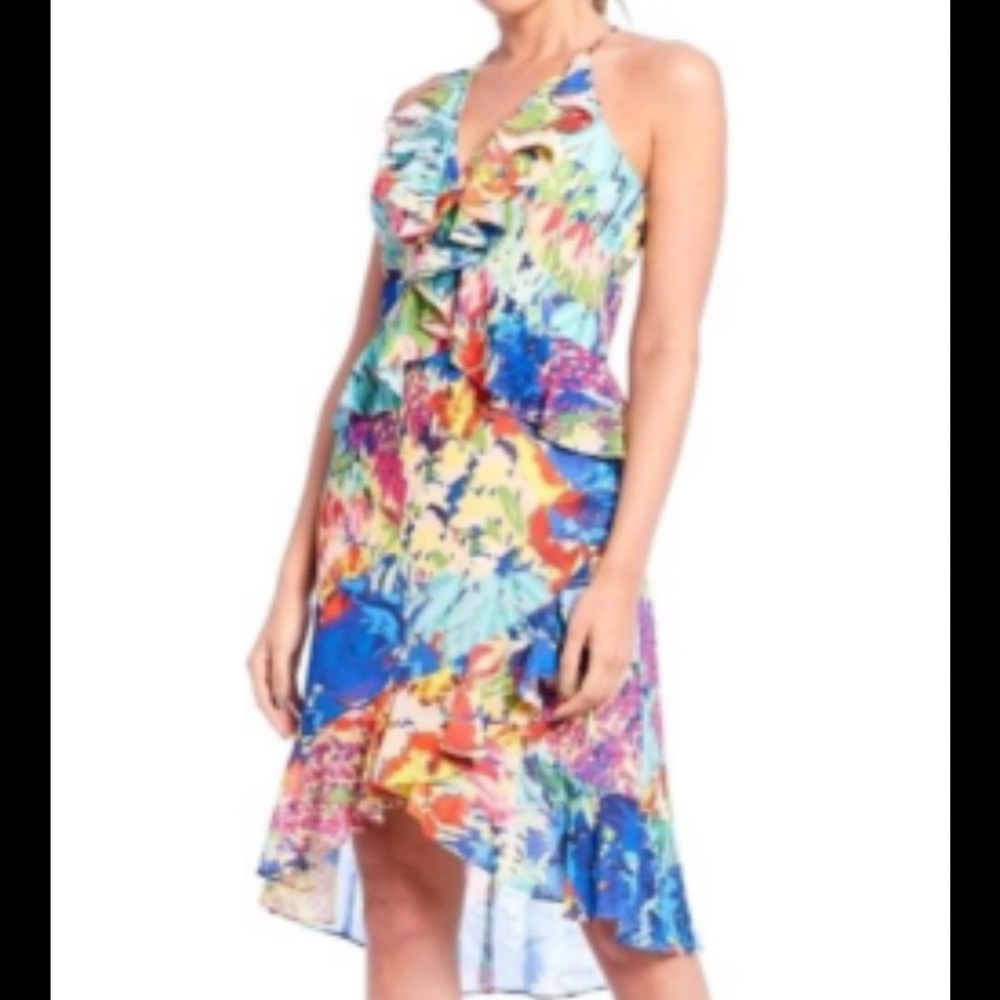 NWT Belle Badgley Mischka Floral Dress